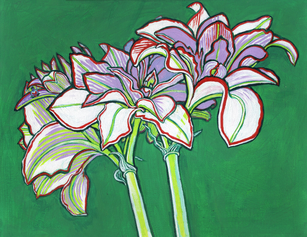 Amaryllis 2