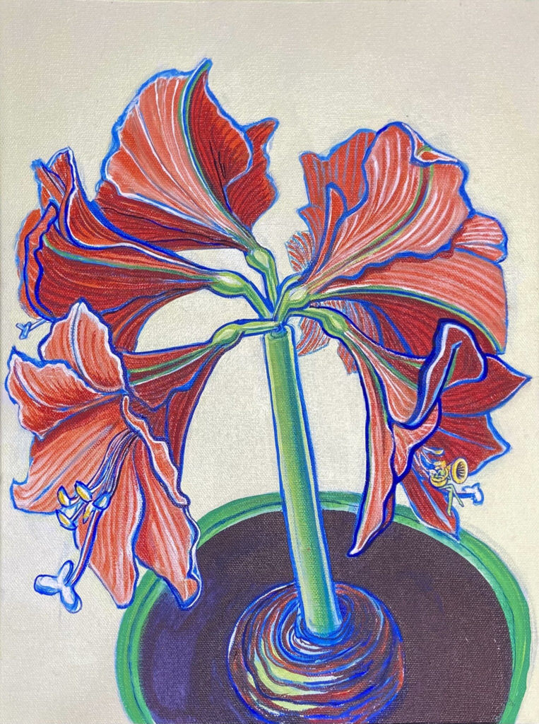 Amaryllis 6