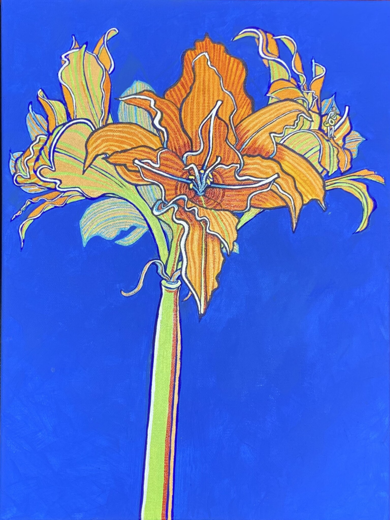 Amaryllis 8