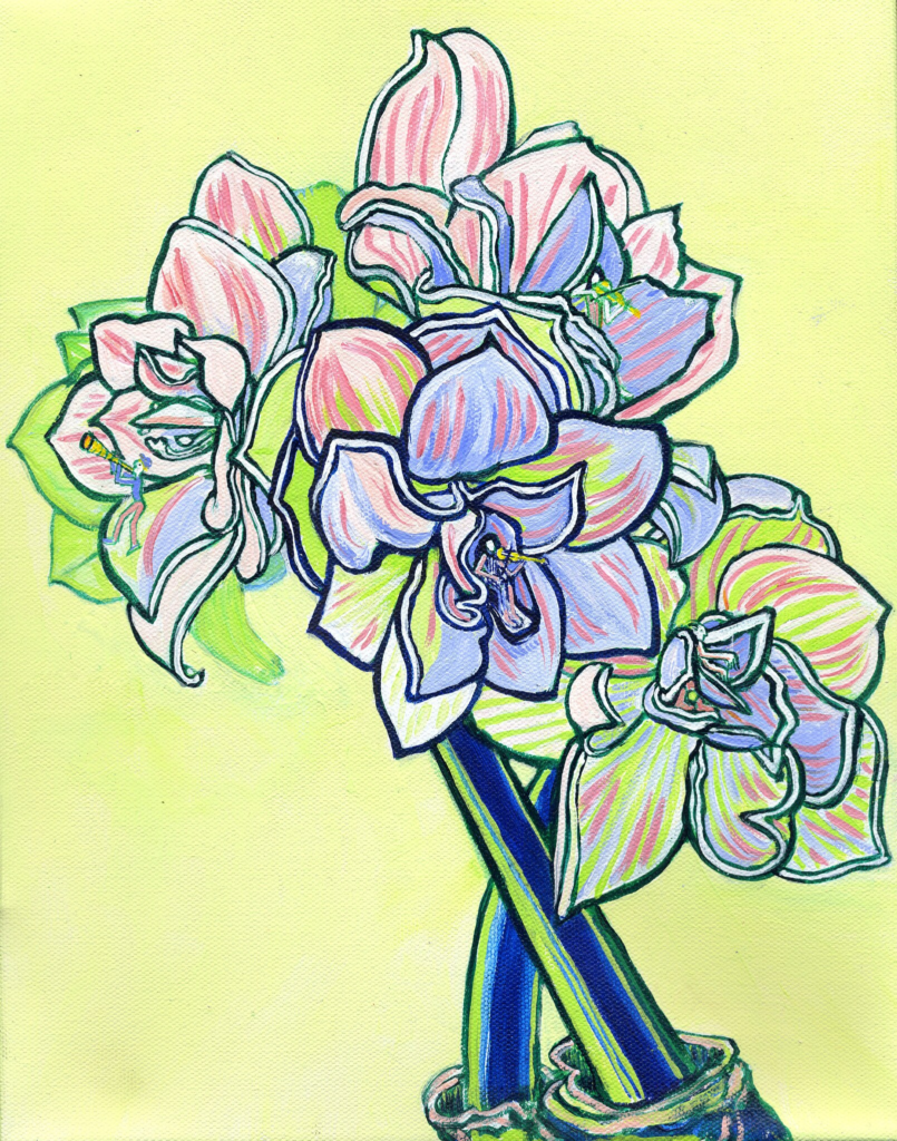Amaryllis 5