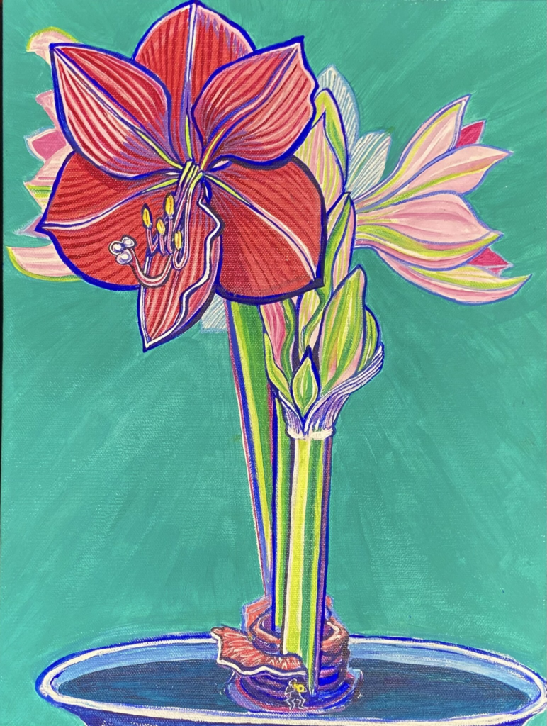 Amaryllis 10
