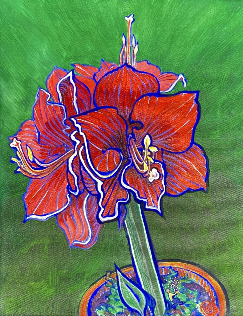 Amaryllis 12