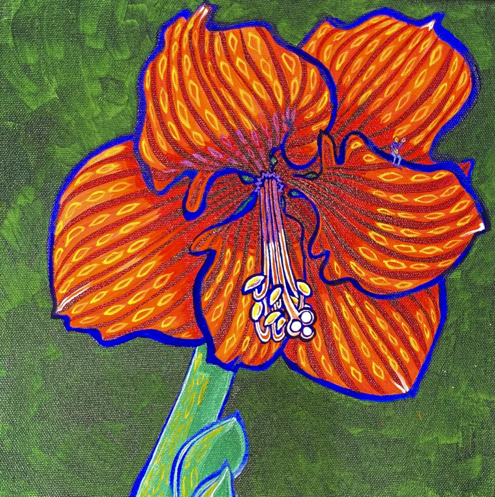 Amaryllis 16