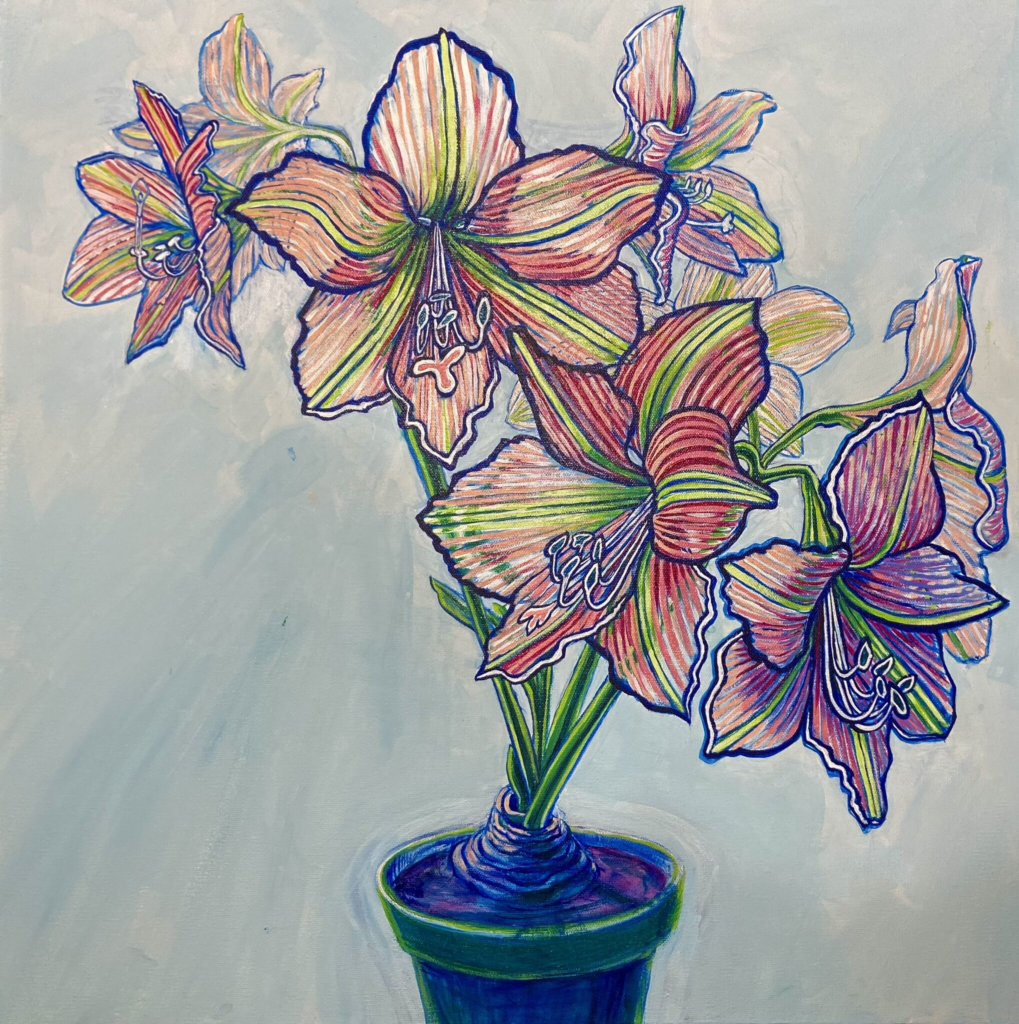 Amaryllis 14