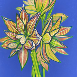 Amaryllis 33