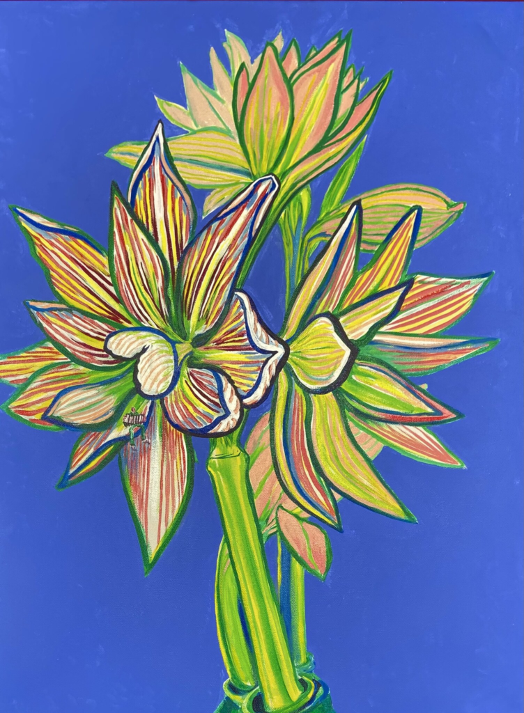 Amaryllis 17