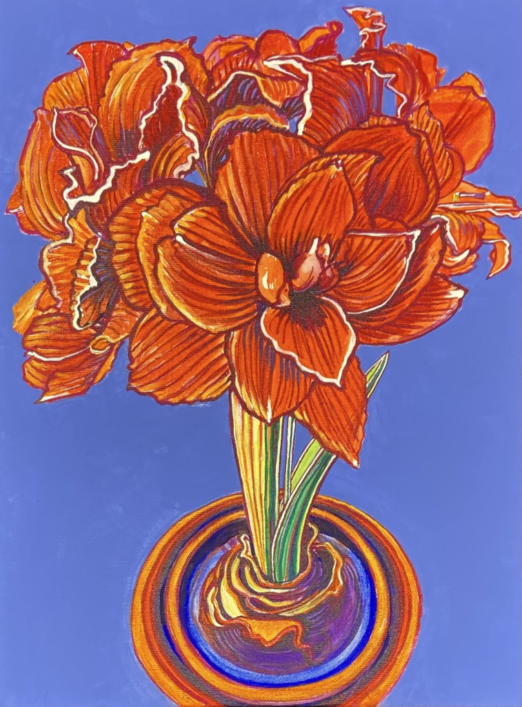 Amaryllis 22