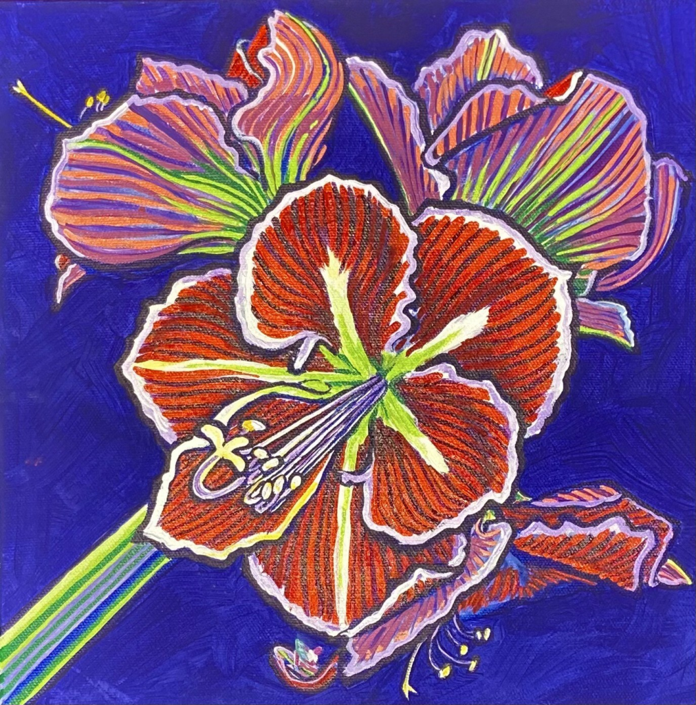Amaryllis 21