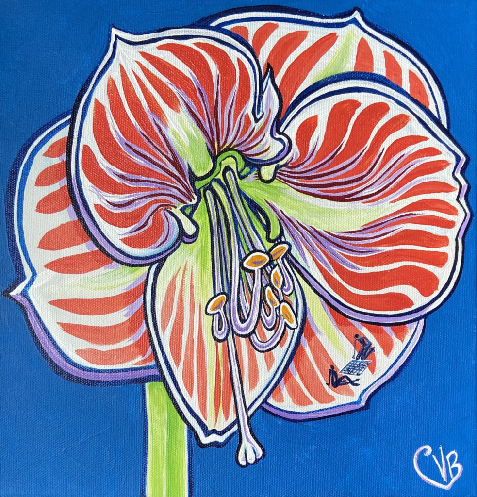 Amaryllis 18