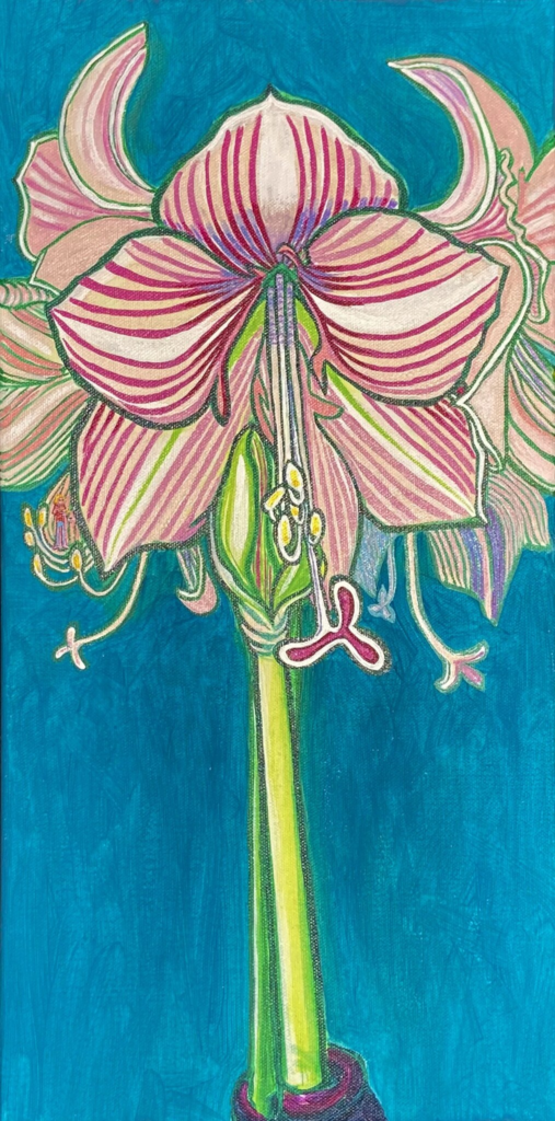 Amaryllis 19