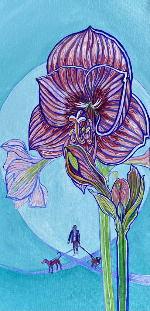Amaryllis 15