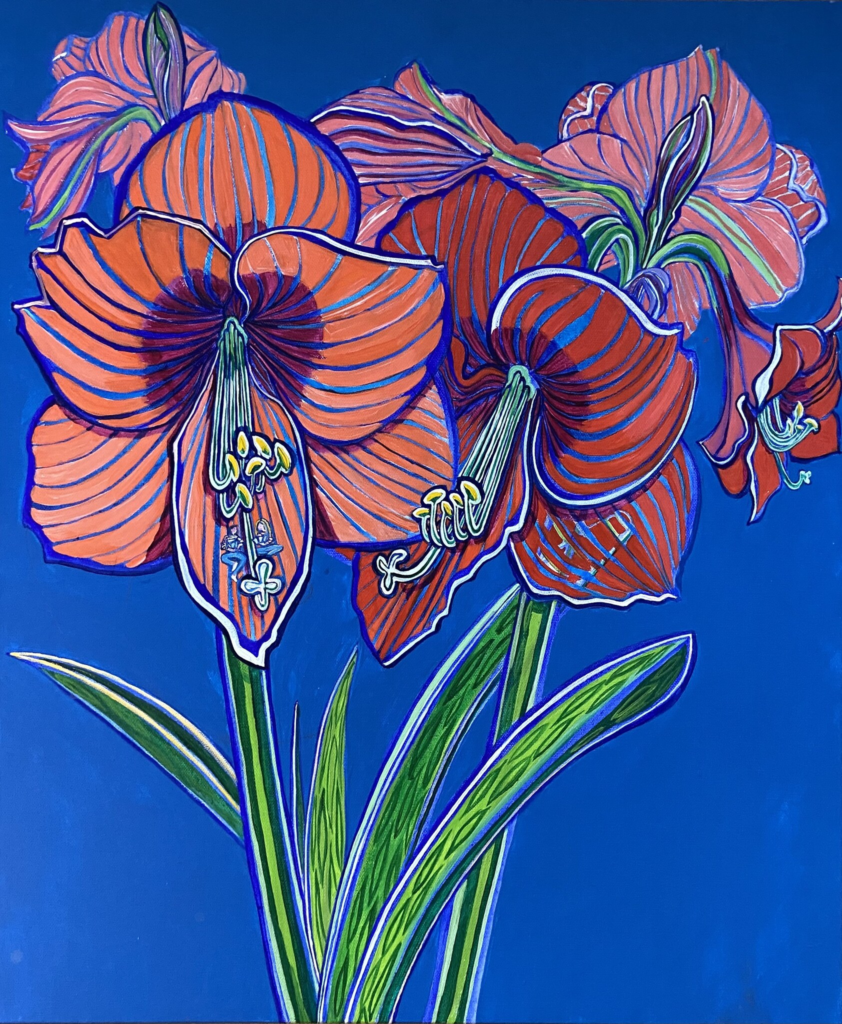 Amaryllis 23