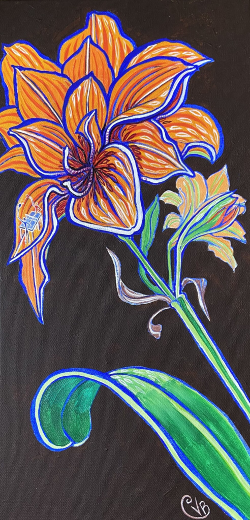 Amaryllis 24