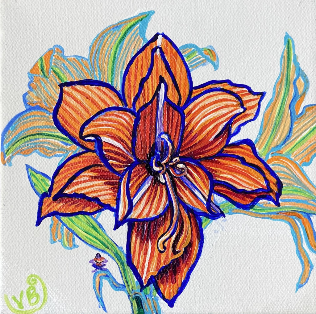 Amaryllis 30
