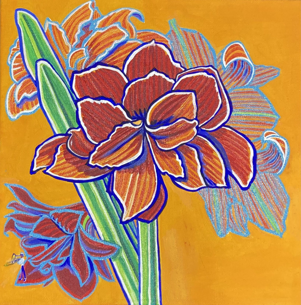 Amaryllis 28