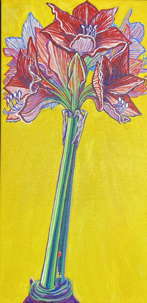 Amaryllis 11