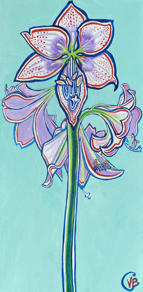 Amaryllis 29