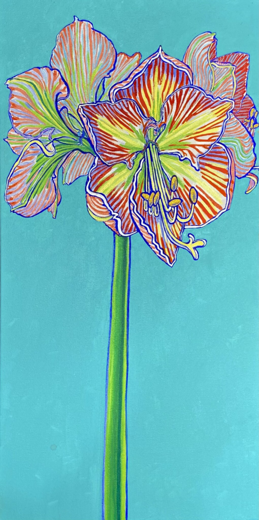 Amaryllis 25