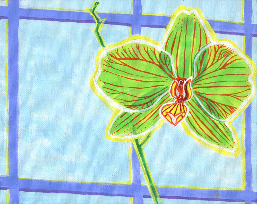 Orchid 2