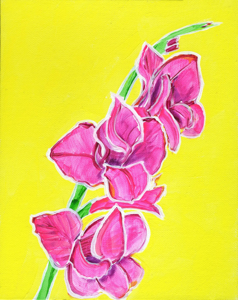 Gladiolus 1