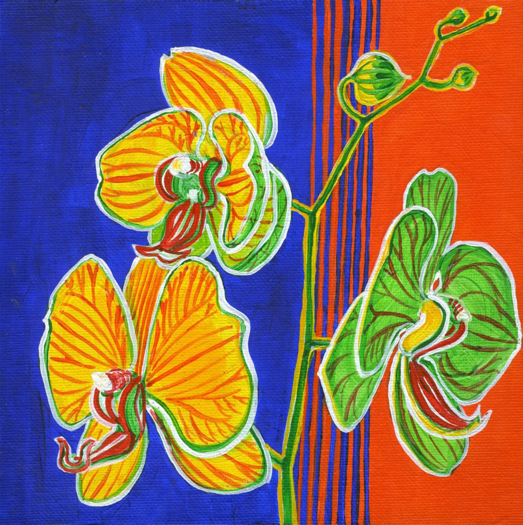 Orchid 1