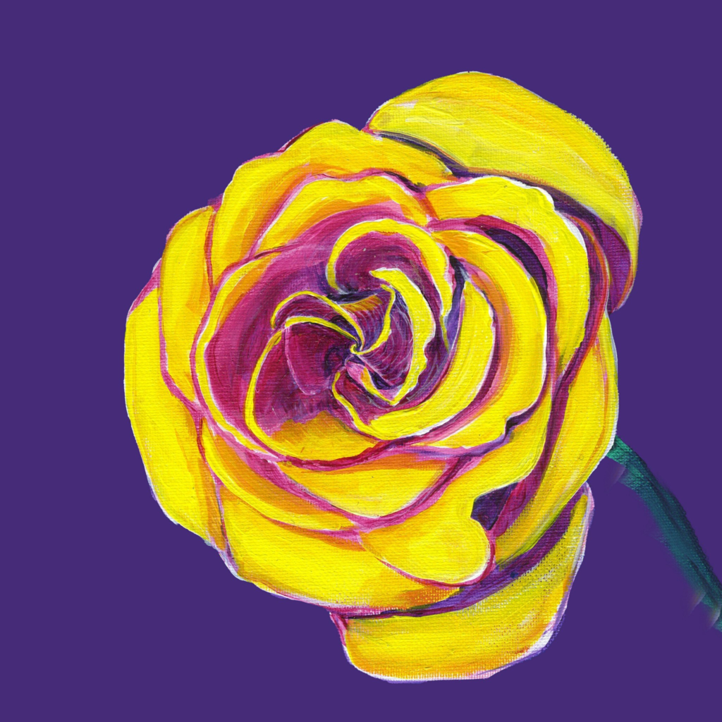 Rose 8