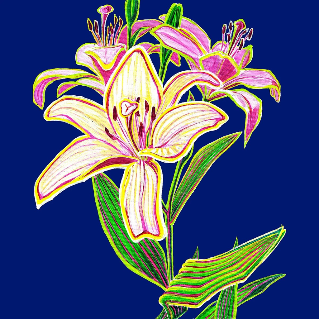 Lilies 1
